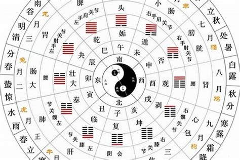 10天干12地支|天干